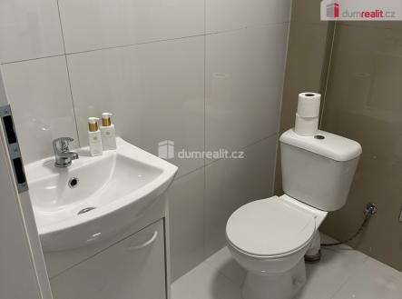 Pronájem bytu, jiný, 14 m²