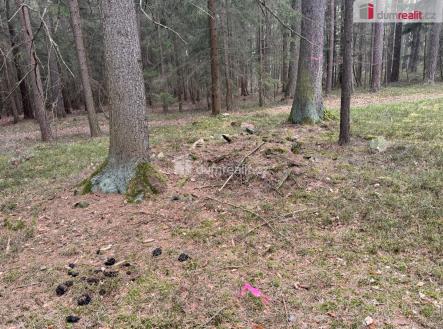 Prodej pozemku, les, 11 340 m²