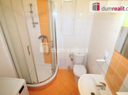 Pronájem bytu, 1+kk, 25 m²