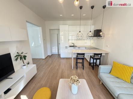 Pronájem bytu, 2+kk, 46 m²