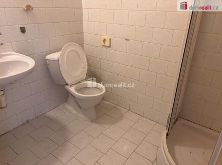 Pronájem bytu, 1+kk, 20 m²