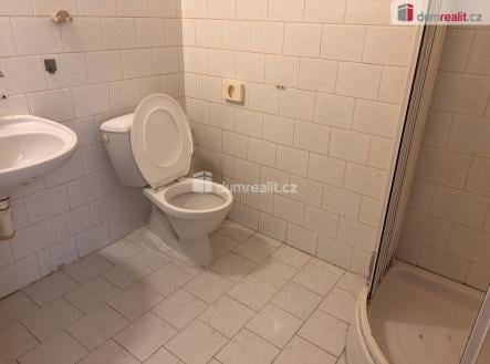 Pronájem bytu, 1+kk, 20 m²