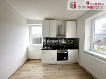 Pronájem bytu, 1+1, 48 m²