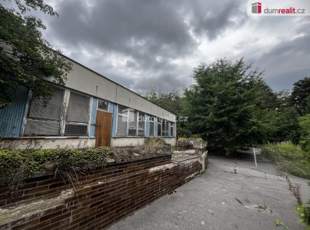 Pronájem obchodní prostor, 100 m²