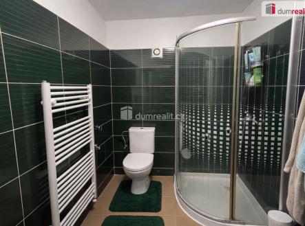 Pronájem bytu, 3+kk, 55 m²