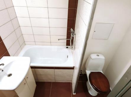 Pronájem bytu, 1+kk, 28 m²