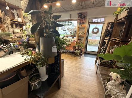 Pronájem obchodní prostor, 23 m²