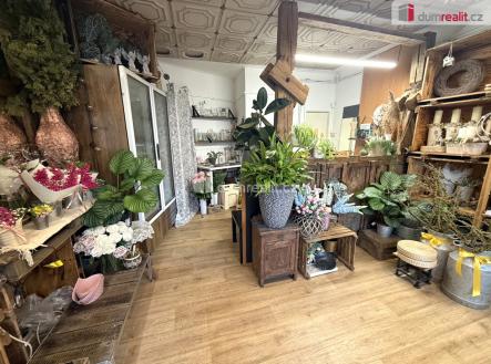 Pronájem obchodní prostor, 23 m²