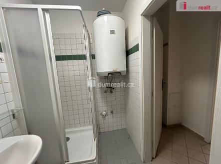 Pronájem bytu, 1+kk, 28 m²