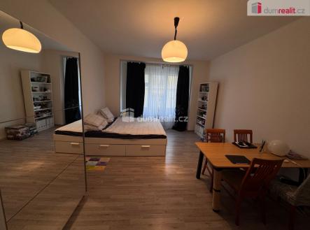 Pronájem bytu, 1+kk, 32 m²