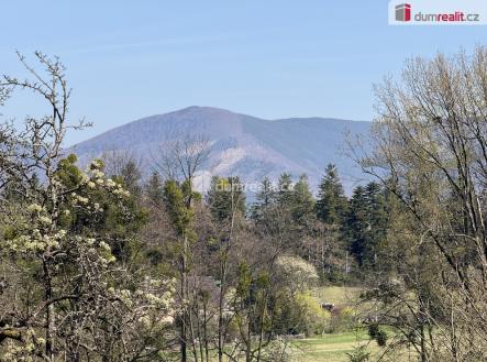 Prodej pozemku, zemědělská půda, 2 929 m²