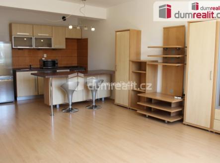 Pronájem bytu, 1+kk, 45 m²