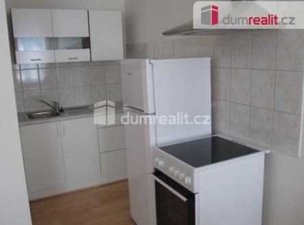 Pronájem bytu, 1+1, 55 m²