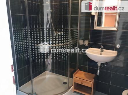 Pronájem bytu, 1+1, 55 m²