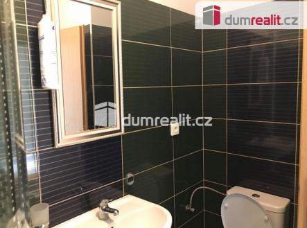 Pronájem bytu, 1+1, 55 m²