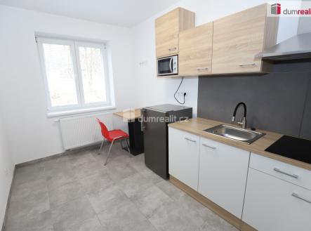 Pronájem bytu, 1+kk, 15 m²