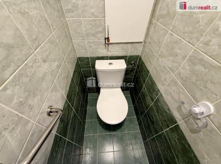 Pronájem bytu, 1+1, 43 m²