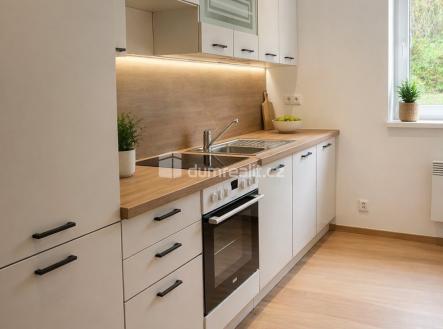 Pronájem bytu, 1+1, 65 m²