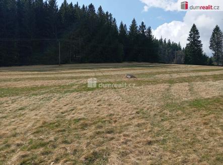 Prodej pozemku pro bydlení, 6 036 m²