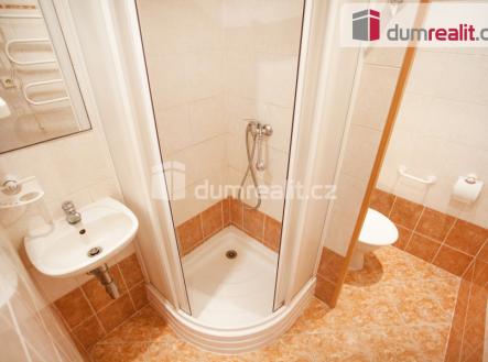 Pronájem bytu, 1+1, 38 m²