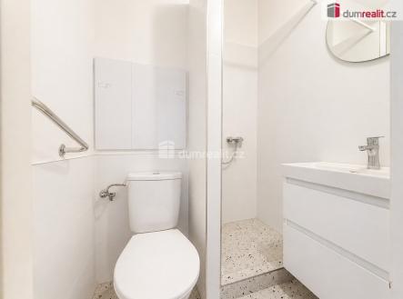 Pronájem bytu, 1+kk, 21 m²