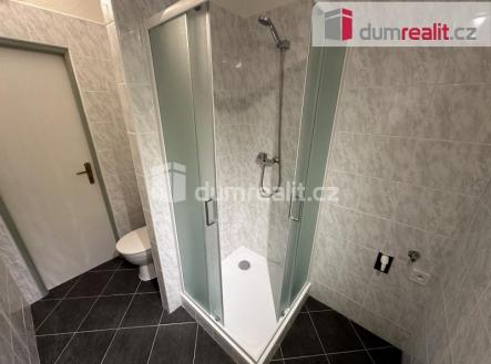 Pronájem bytu, 1+1, 40 m²
