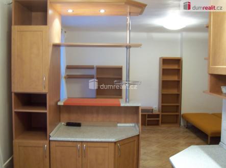 Pronájem bytu, 1+kk, 43 m²