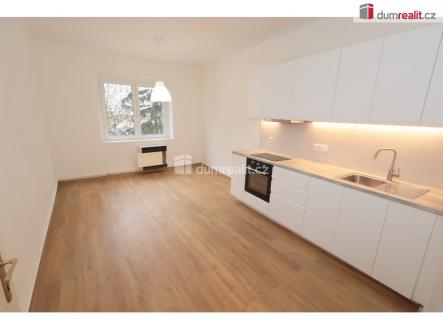 Pronájem bytu, 2+kk, 57 m²