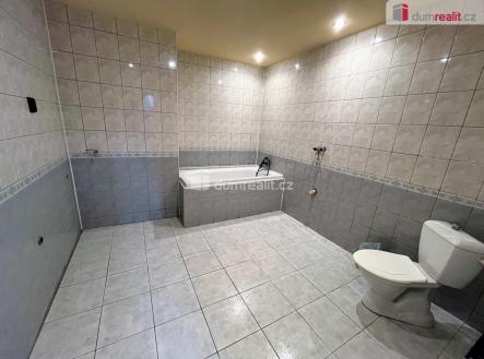 Pronájem obchodní prostory, 95 m²