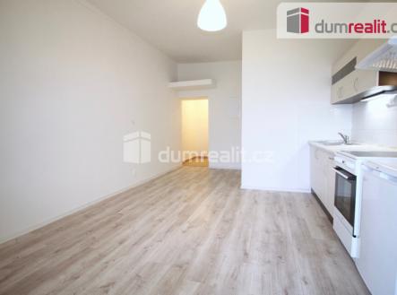 Pronájem bytu, 1+kk, 25 m²