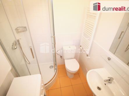 Pronájem bytu, 1+kk, 25 m²