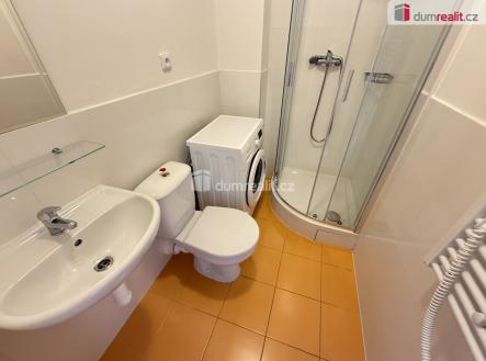 Pronájem bytu, 1+kk, 50 m²
