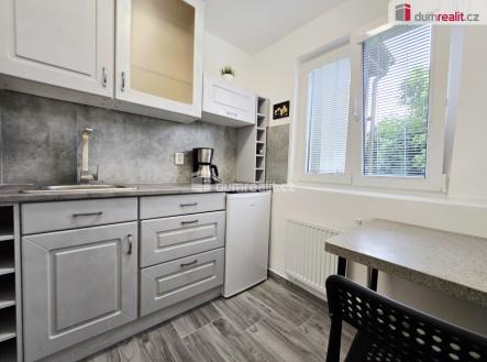 Pronájem bytu, 1+kk, 16 m²