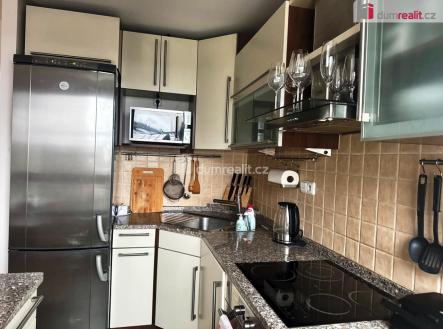 Pronájem bytu, 1+1, 49 m²