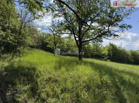 Prodej pozemku, trvalý travní porost, 5 056 m²