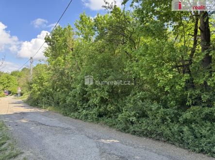 Prodej pozemku, trvalý travní porost, 5 056 m²