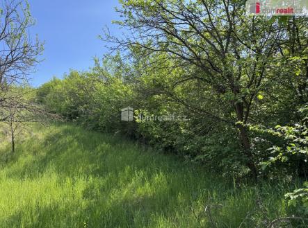 Prodej pozemku, trvalý travní porost, 5 056 m²