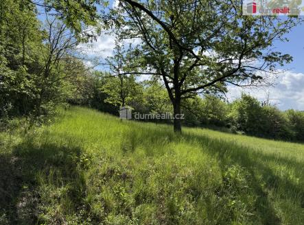 Prodej pozemku, trvalý travní porost, 5 056 m²