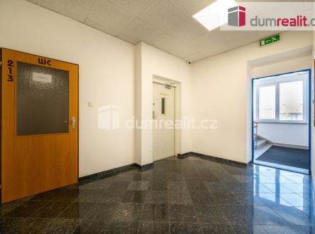 Pronájem kanceláře, 30 m²