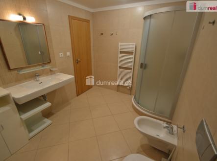Pronájem bytu, 4+kk, 97 m²