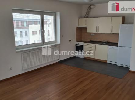 Pronájem bytu, 1+kk, 43 m²