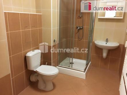 Pronájem bytu, 1+kk, 43 m²