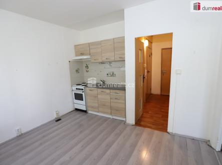 Pronájem bytu, 1+1, 42 m²