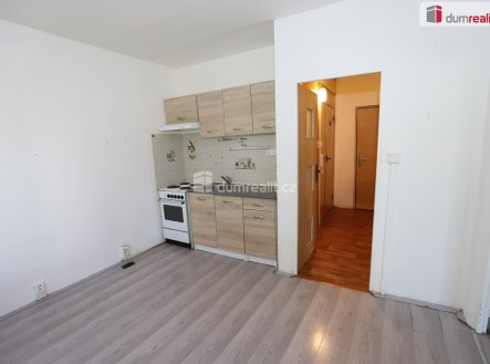 Pronájem bytu, 1+1, 42 m²
