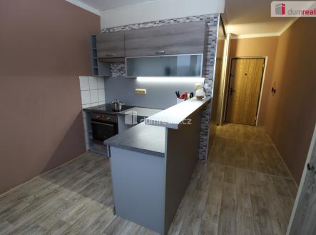 Pronájem bytu, 1+1, 41 m²