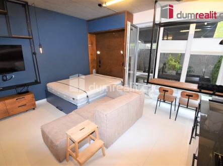 Pronájem bytu, 1+kk, 47 m²