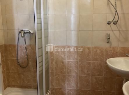 Pronájem bytu, 4+1, 15 m²