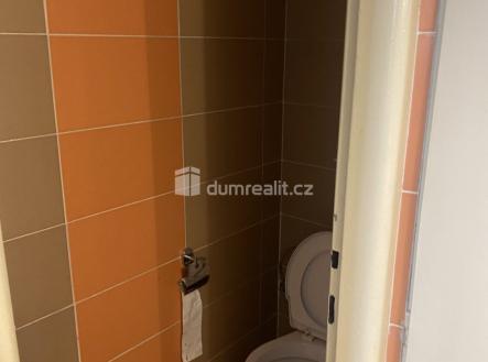 Pronájem bytu, 1+kk, 15 m²