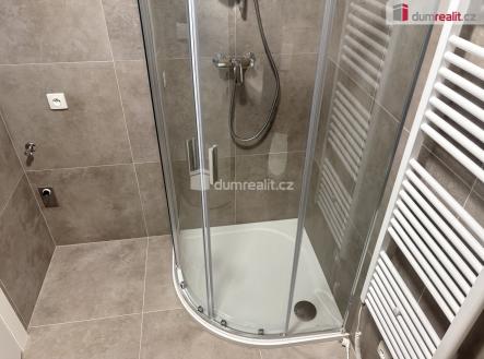 Pronájem bytu, 1+kk, 49 m²