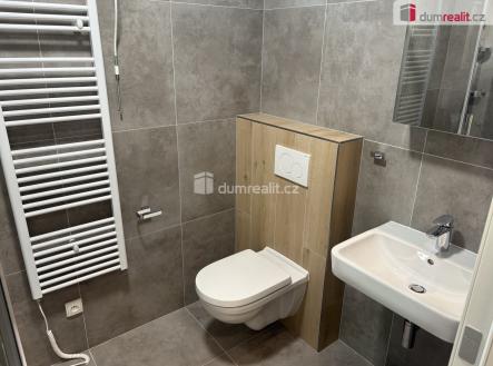 Pronájem bytu, 1+kk, 49 m²